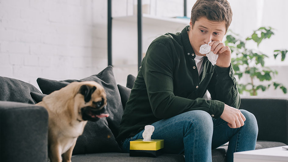 Purchasing an air purifier is one of the wisest approaches to improve your home’s indoor air quality. Find out more about the three best products. 